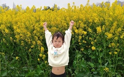 玖草在线中文在线2018